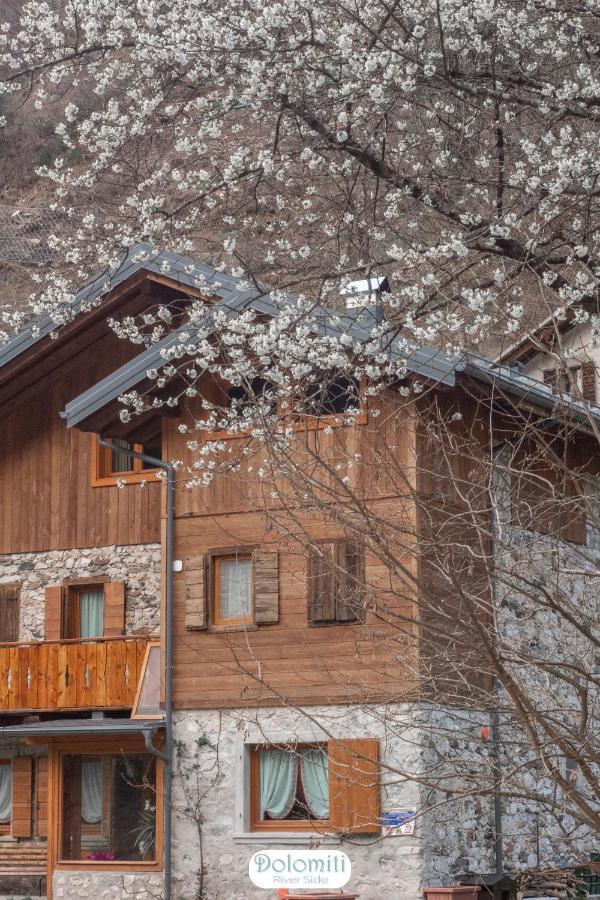 Dolomiti Riverside Perarolo di Cadore エクステリア 写真